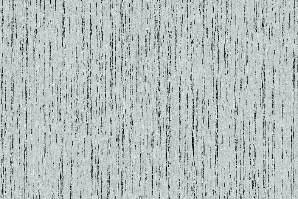 H1003-09