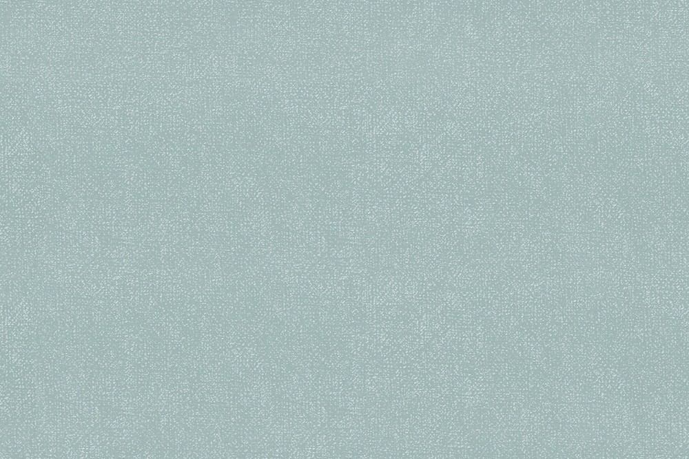 H1001-08
