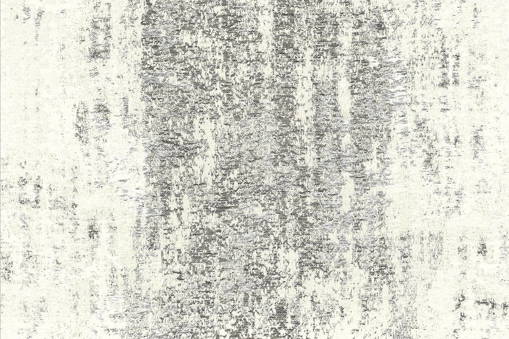 Salva