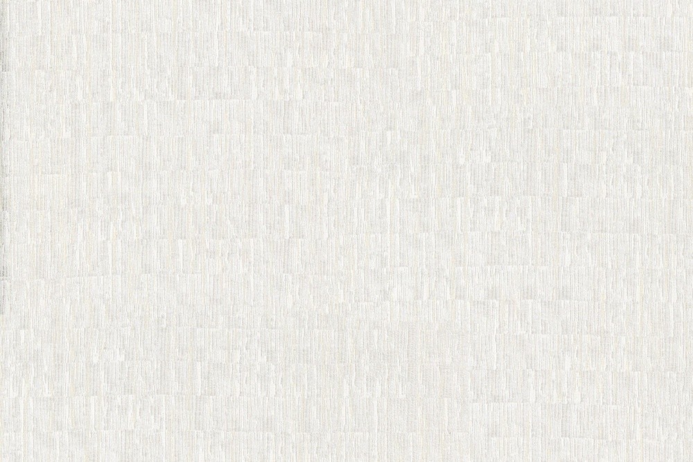 H1003-02