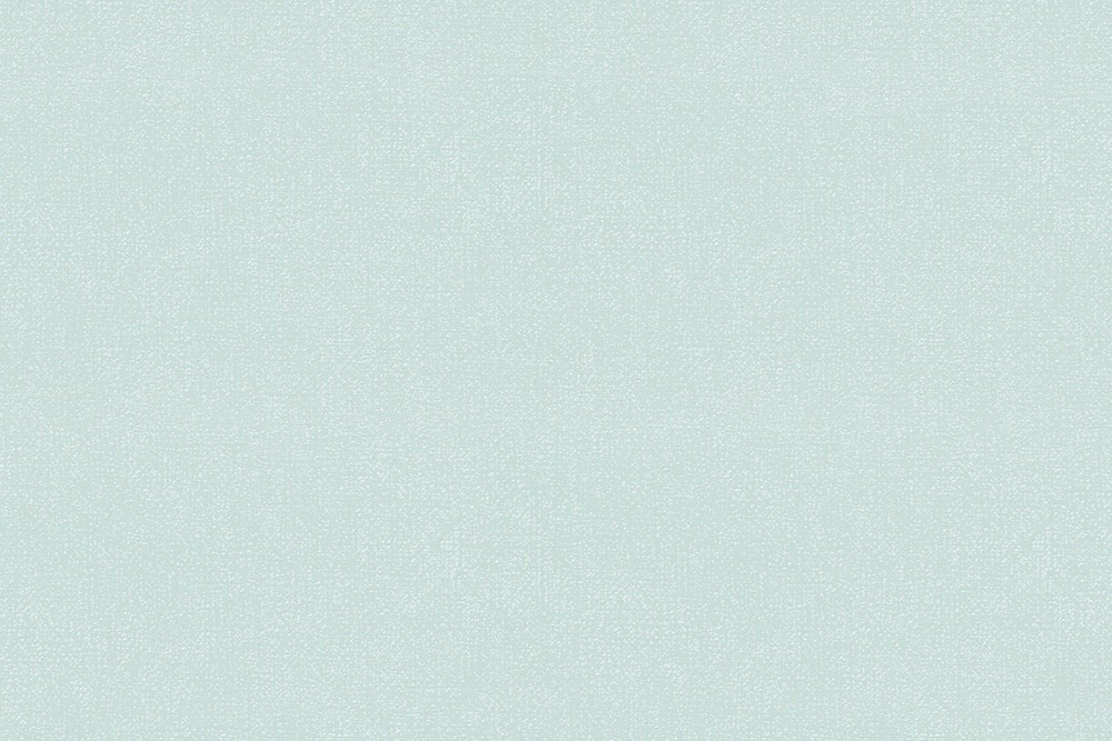 H1001-07