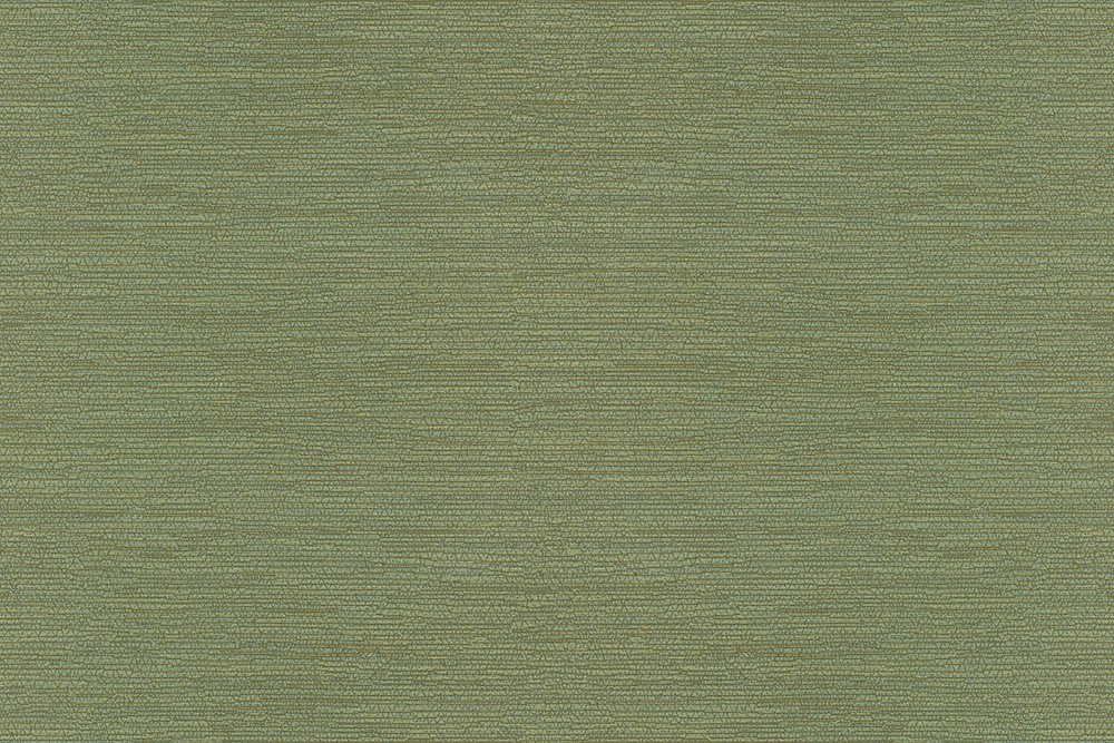 H1005-09