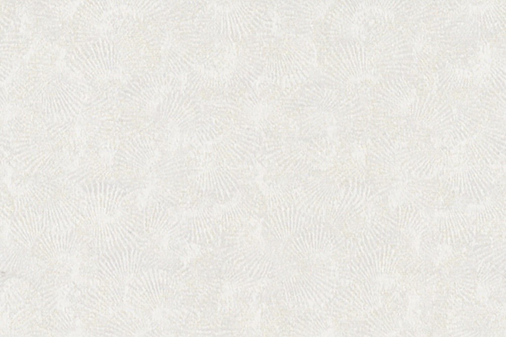 Q7911-02
