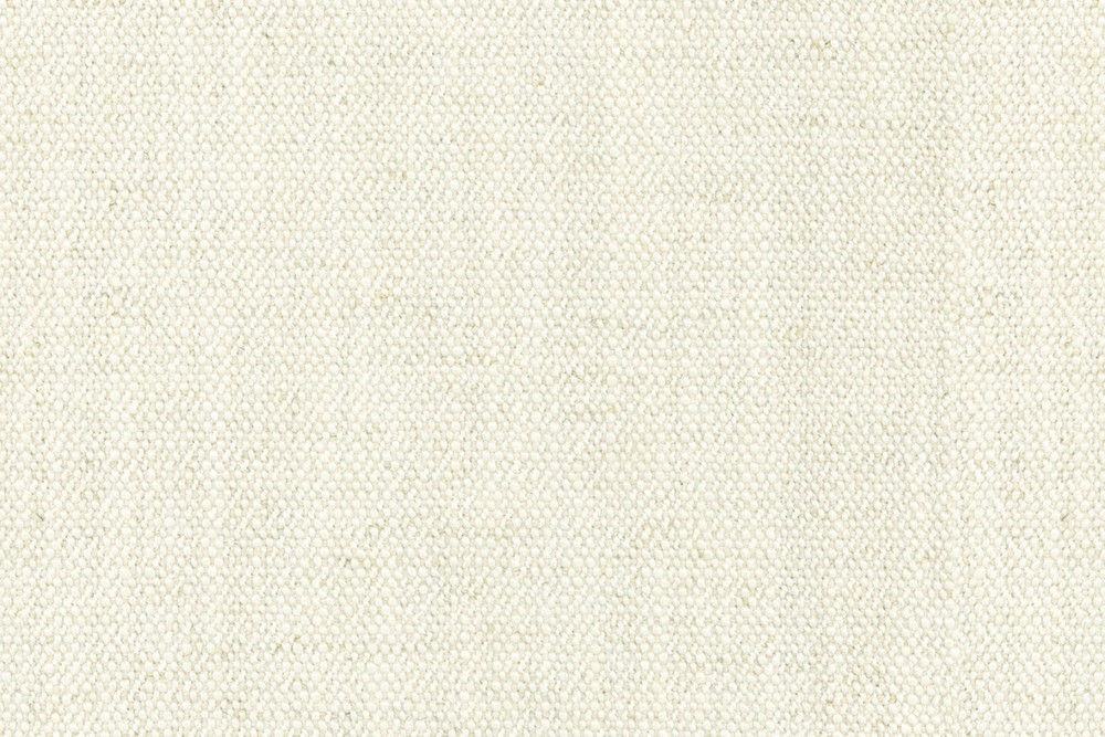 Alga